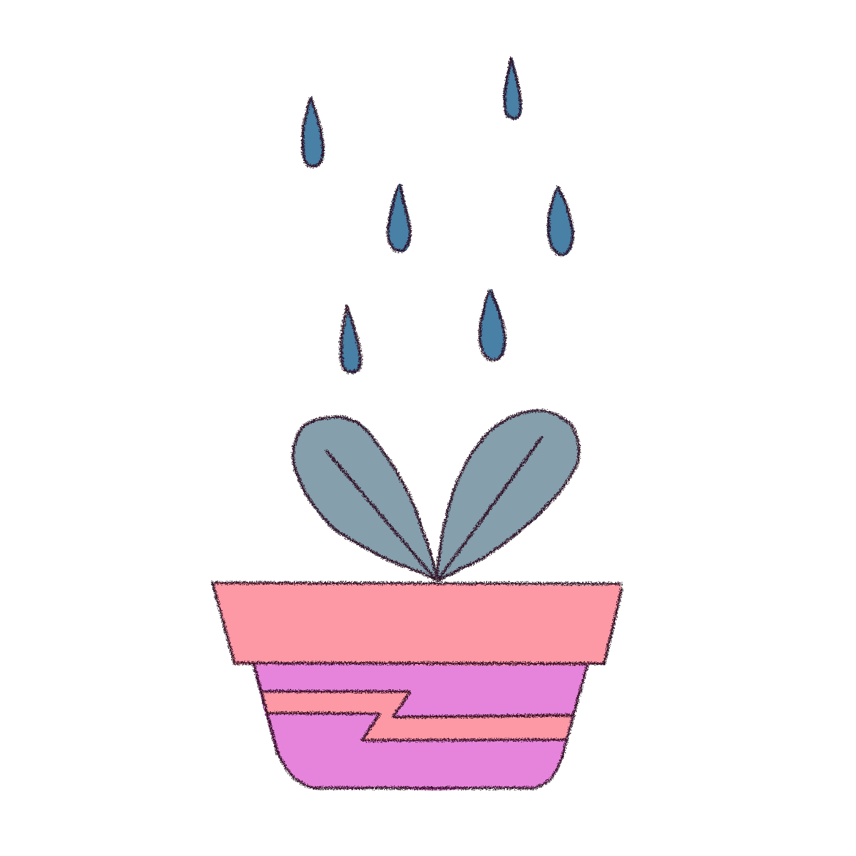 A plant being watered