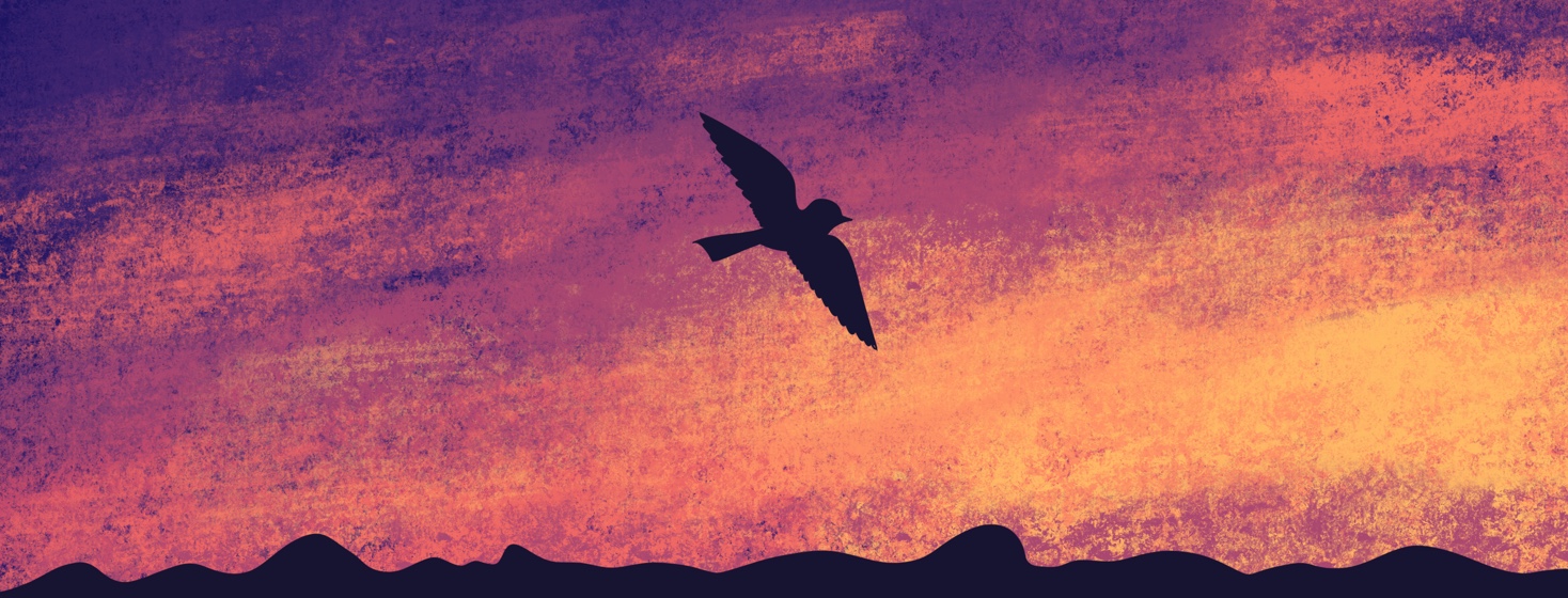 A bird silhouette flies across a sunset